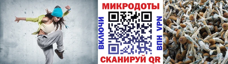 Галлюциногенные грибы ЛСД  наркотики  Ковдор 